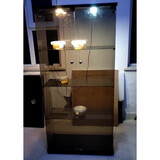 Lighted Two Door Glass Cabinet Glass Display Cabinet with 4 Shelves, Brown W1510S00005