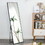 Mirror.Black Solid Wood Frame Full-length Mirror, Dressing Mirror, Bedroom Home Porch, Decorative Mirror, Clothing Store, Floor Mounted Large Mirror, Wall Mounted.63"*19"FLM-BK-16049 W1512139293