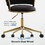 Office Chair Desk Chair Task Chair,Adjustable Swivel Chair on Wheels Rolling Stool Salon Stool Vanity Stool Modern,Black
