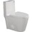 15 5/8 inch 1.1/1.6 GPF Dual Flush 1-Piece Elongated Toilet with Soft-Close Seat - Gloss White 23T01-GW W1573101058