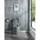 15 5/8 inch 1.1/1.6 GPF Dual Flush 1-Piece Elongated Toilet with Soft-Close Seat - Light Grey 23T01-LG W1573101060