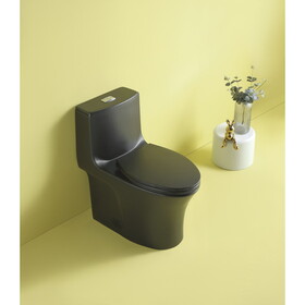 15 1/8 inch 1.1/1.6 GPF Dual Flush 1-Piece Elongated Toilet with Soft-Close Seat - Matt Black 23T02-MB W1573101062
