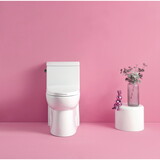 15 1/8 inch 1.28 GPF 1-Piece Elongated Toilet with Soft-Close Seat - Gloss White 23T03-GW W1573101064