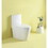 AquaFlush Pro Toilet Fixture Kit 23T01-GWP02 W1573104724