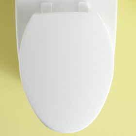 Toilet Seat Lid Only, 23T02-GWP01 W1573104727