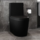 15 5/8 inch 1.1/1.6 GPF Dual Flush 1-Piece Elongated Toilet with Soft-Close Seat - Matte Black 23T01-MB-1 W1573140599
