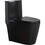 15 5/8 inch 1.1/1.6 GPF Dual Flush 1-Piece Elongated Toilet with Soft-Close Seat - Matte Black 23T01-MB-1 W1573140599