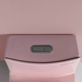 Toilet Tank Lid with Buttons Only, 23T01-RSP04 W1573P252958