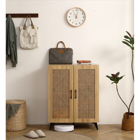 Natural Rattan Storage Cabinet Double-Door Shoe Cabinet with Large Storage Space and Durable Structure 29.5inch W158183857