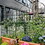 2 Pack Metal Garden Trellis 71" x 19.7" Rustproof Trellis for Climbing Plants Outdoor Flower Support Black W1586104494
