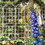 4 Pack Metal Garden Trellis 86.7" x 19.7" Rustproof Trellis for Climbing Plants Outdoor Flower Support White W1586134247