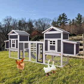 Outdoor Wooden Chicken Coop, 124" Large Hen Cage Rabbit House, Bunny Hutch with Ventilation Door, Removable Ramp Garden Backyard Pet House Chicken Nesting Box (Gray+White)