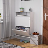 Shoe Cabinet with 2 Flip Drawers, Disassembling and assembling Standing Feet W1666103118