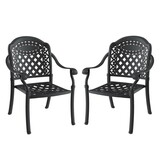 Cast Aluminum Patio Dining Chair 2PCS with Black Frame and Cushions in Random Colors W171091757