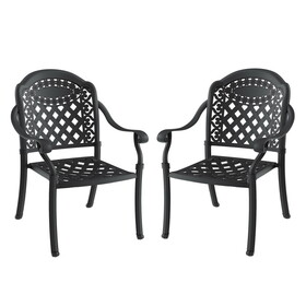 Cast Aluminum Patio Dining Chair 2PCS with Black Frame and Cushions in Random Colors P-W171091757