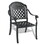 Cast Aluminum Patio Dining Chair 2PCS with Black Frame and Cushions in Random Colors W1710P166003