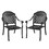 Cast Aluminum Patio Dining Chair 2PCS with Black Frame and Cushions in Random Colors W1710P166003