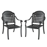 Cast Aluminum Patio Dining Chair 2PCS with Black Frame and Cushions in Random Colors W171091760