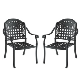 Cast Aluminum Patio Dining Chair 2PCS with Black Frame and Cushions in Random Colors P-W171091760