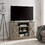 Farmhouse Classic Media TV Stand Antique Entertainment Console for TV up to 50" with Open and Closed Storage Space, Gray Wash, 47"W*15.5"D*30.75"H W1758105873