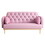 Loveseat sofa with tulip pattern Modern Upholstered Two Seater PU Sofa with 2 dumpling-shaped throw pillows with tulip patterns W1767106514