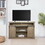 TV Stand Sliding Barn Door Farmhouse Wood Entertainment Center, Storage Cabinet Table Living Room with Adjustable Shelves for TVs Up to 65", Reclaimed Barnwood W1785118931