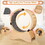 Cat Exercise Wheel - Running, Spinning, and Scratching Fun, Cat Treadmill with Carpeted Runway, Kitty Cat Sport Toy, Great for Physical Activity and Reducing Boredom W1790102823
