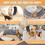 Cat Wheel 6-in-1 Cat Exercise Wheel,Upgraded Cat Wheel Exerciser for Indoor Cats,Large Cat Treadmill,Cat Running Wheel with Silent Wheel,Cat Walking Wheel Cat Furniture Cat Toys W1790133437