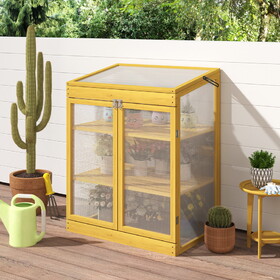 Greenhouse Wooden Cold Frame Greenhouse, Mini Greenhouse for Outdoor, Polycarbonate Garden Greenhouse Cabinet 2-Tier, Keep Plant Warm Enough W1850P236449