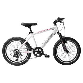 A20215 Kids Bicycle 20 inch Kids Montain Bike Gear Shimano 7 Speed Bike for Boys and Girls W1856P151699