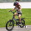 A16115 Kids Bike 16 inch for Boys & Girls with Training Wheels, Freestyle Kids' Bicycle with fender and carrier. W1856P206252