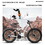 A26309 26 inch Mountain Bike,Full-Suspension 21 Speeds Drivetrain with Disc-Brake MTB Bicycle, 26*4" Fat tire Bike for Men or Women. W1856P207733