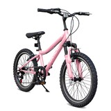 20 inch Mountain Bike, 7-Speed Adult Dual-Suspension Mountain Bicycle with Sturdy Steel Frame, Excellent Twist Shifting, Dual Handbrake & Adjustable Seat for Men Women