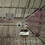 12'x16' Hardtop Gazebo Outdoor Aluminum Wood Grain Gazebos with Galvanized Steel Double Canopy for Patios Deck Backyard,Curtains&Netting (Wood-Looking) W1859S00006