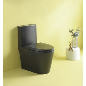 15 5/8 inch 1.1/1.6 GPF Dual Flush 1-Piece Elongated Toilet with Soft-Close Seat - Matte Black 23T01-MB W1920P143273
