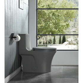 15 1/8 inch 1.1/1.6 GPF Dual Flush 1-Piece Elongated Toilet with Soft-Close Seat - Light Grey 23T02-LG W1920P143274