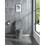 15 5/8 inch 1.1/1.6 GPF Dual Flush 1-Piece Elongated Toilet with Soft-Close Seat - Light Grey 23T01-LG W1920P143276
