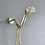 Polished Gold Wall Mounted Handheld Shower Head with 5 Adjustable Settings and Hose W1920P201352