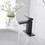 Matte Black Low-Arc Single-Handle Bathroom Sink Faucet with Drain W1920P202887