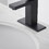 Matte Black Low-Arc Single-Handle Bathroom Sink Faucet with Drain W1920P202887