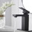 Matte Black Low-Arc Single-Handle Bathroom Sink Faucet with Drain W1920P202887