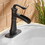 Oil-Rubbed Bronze Bathroom Sink Faucet with Single Lever Handle W1920P203138