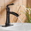 Oil-Rubbed Bronze Bathroom Sink Faucet with Single Lever Handle W1920P203138