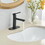 Modern Matte Black Single Handle Bathroom Faucet with Drain W1920P203148