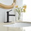 Modern Matte Black Single Handle Bathroom Faucet with Drain W1920P203148