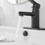 Matte Black Single Handle Low-Arc Bathroom Faucet W1920P203169