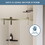 60 x 76 Frameless Soft-closing Shower Door, Single Sliding Shower Door, 5/16" (8mm) Clear Tempered Glass Shower Door with Explosion-Proof Film, Stainless Steel Hardware, Gold 24D211-60G-COMBO
