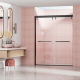 56-60 in. W x 76 in. H Semi-Frameless Shower Door, Double Sliding Shower Door, 5/16