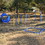4 Pack Obstacle Dog Agility Training W1922114873