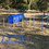 4 Pack Obstacle Dog Agility Training W1922114873